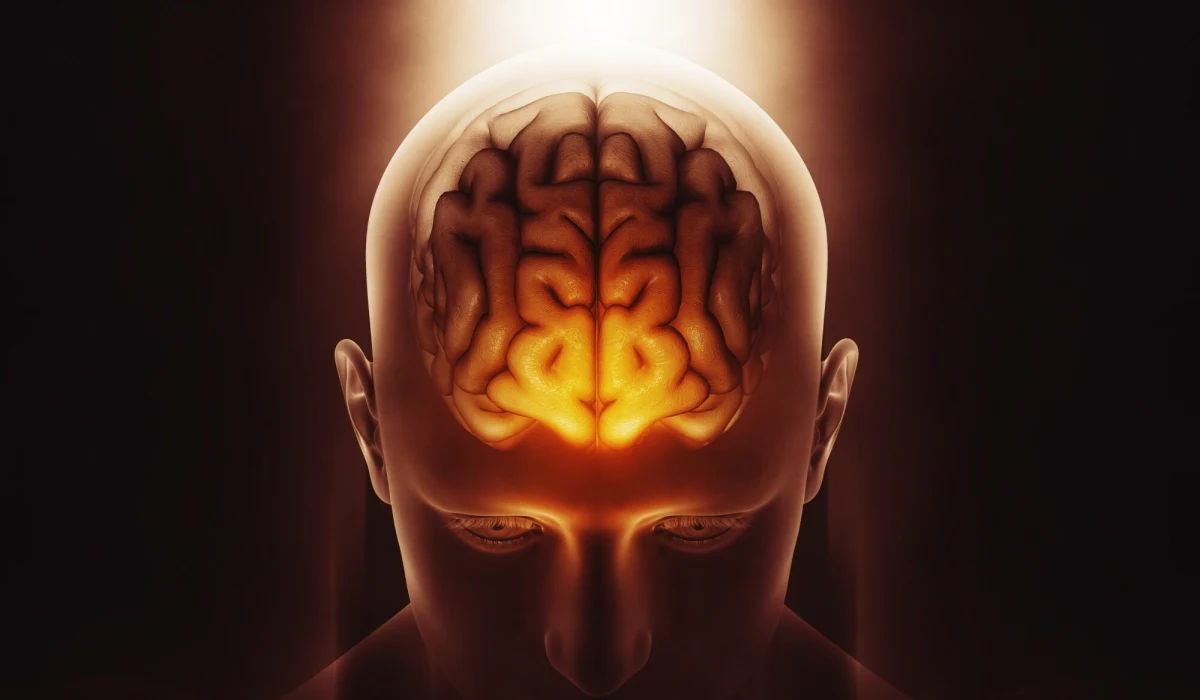 Psykiske lidelser hos voksne