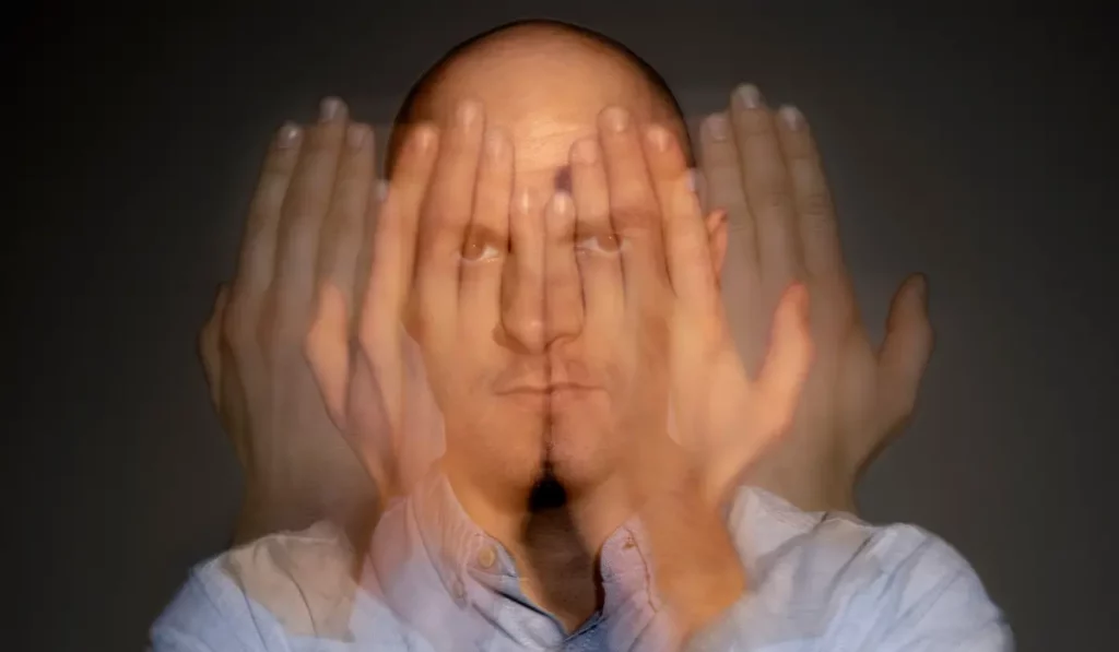 Paranoid schizofreni
