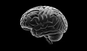 OCD hjerne vs. normal hjerne