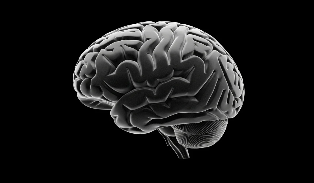 OCD hjerne vs. normal hjerne