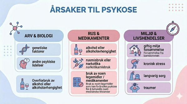 Årsaker til psykose