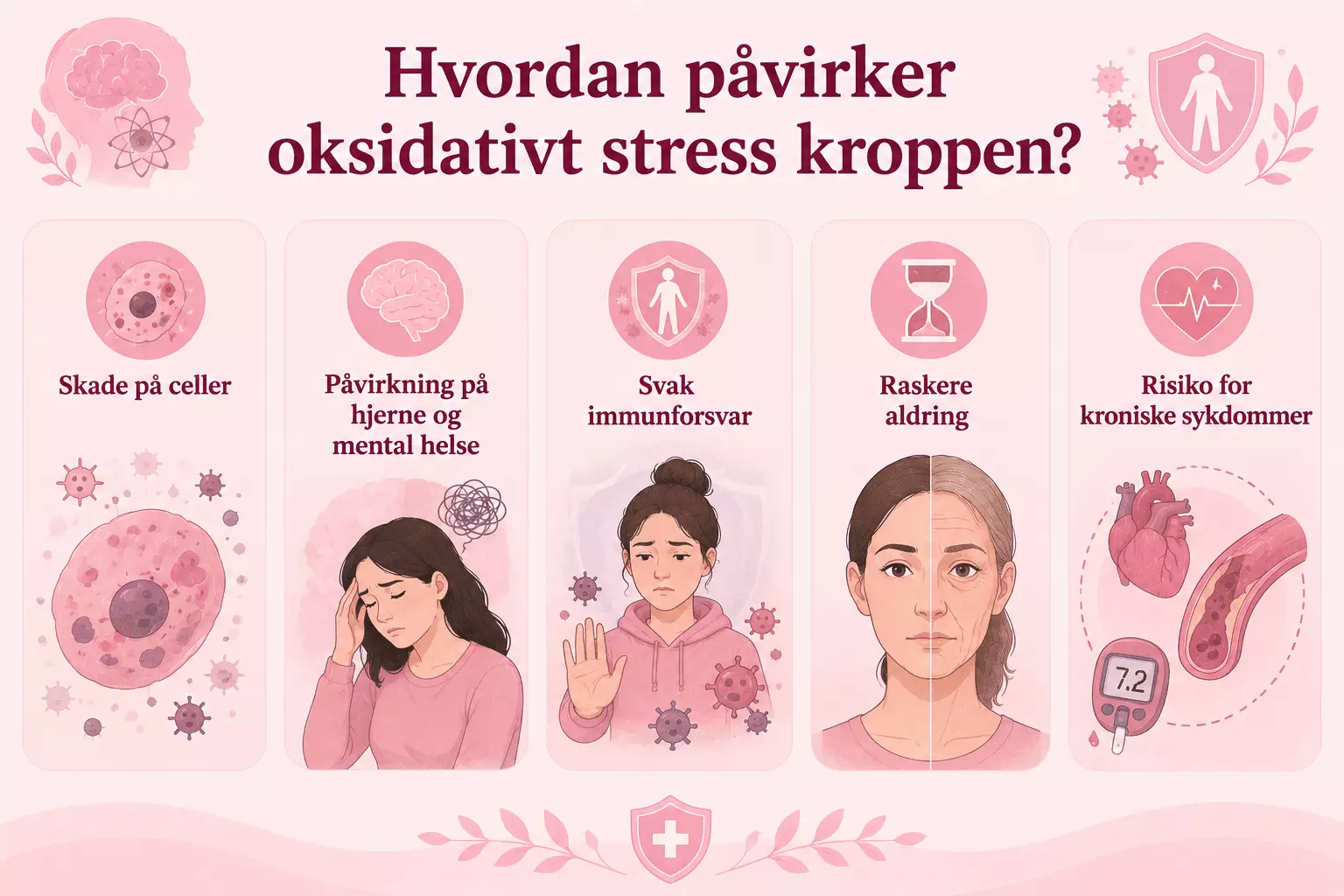 Hvordan påvirker oksidativt stress kroppen?