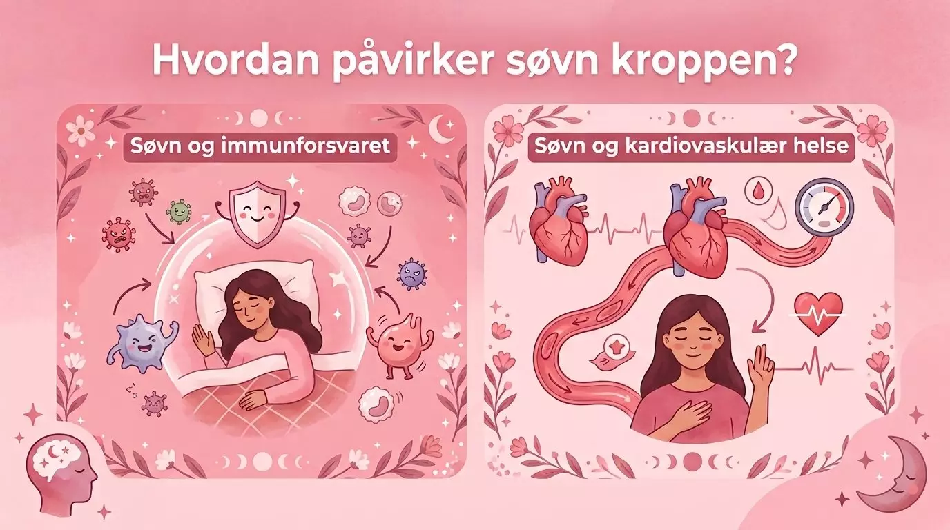 Hvordan påvirker søvn kroppen?